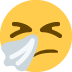 :sneezing_face: